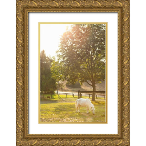 White Pony Gold Ornate Wood Framed Art Print with Double Matting by Millet, Karyn