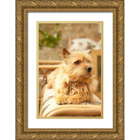 Sunny Spot Gold Ornate Wood Framed Art Print with Double Matting by Millet, Karyn