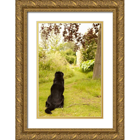Watch Dog Gold Ornate Wood Framed Art Print with Double Matting by Millet, Karyn