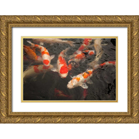 Koi I Gold Ornate Wood Framed Art Print with Double Matting by Millet, Karyn