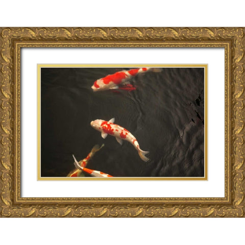 Koi IV Gold Ornate Wood Framed Art Print with Double Matting by Millet, Karyn