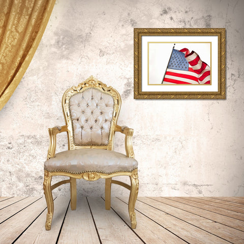 Stars and Stripes I Gold Ornate Wood Framed Art Print with Double Matting by Millet, Karyn