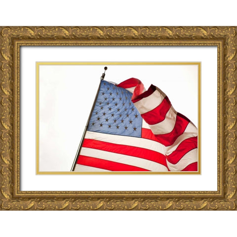 Stars and Stripes I Gold Ornate Wood Framed Art Print with Double Matting by Millet, Karyn
