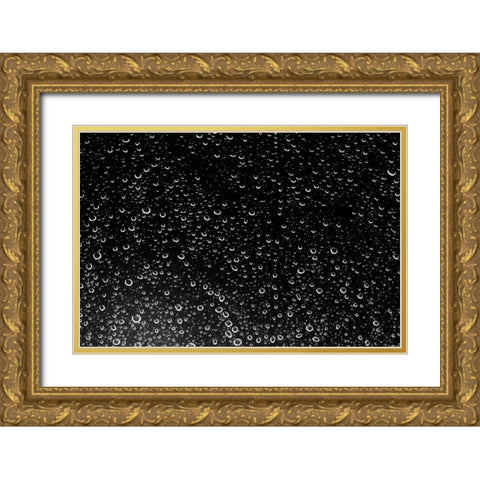 Rain Drops III Gold Ornate Wood Framed Art Print with Double Matting by Millet, Karyn