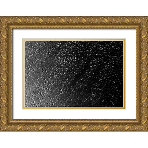 Rain Drops IV Gold Ornate Wood Framed Art Print with Double Matting by Millet, Karyn