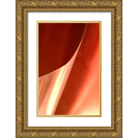 Copper Curves II Gold Ornate Wood Framed Art Print with Double Matting by Millet, Karyn