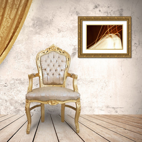 Dancing Lights I Gold Ornate Wood Framed Art Print with Double Matting by Millet, Karyn