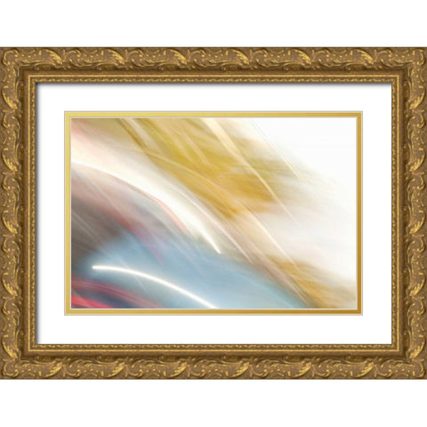 Color Streaks I Gold Ornate Wood Framed Art Print with Double Matting by Millet, Karyn