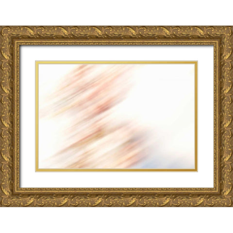 Color Streaks III Gold Ornate Wood Framed Art Print with Double Matting by Millet, Karyn