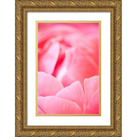Pink Peony I Gold Ornate Wood Framed Art Print with Double Matting by Millet, Karyn