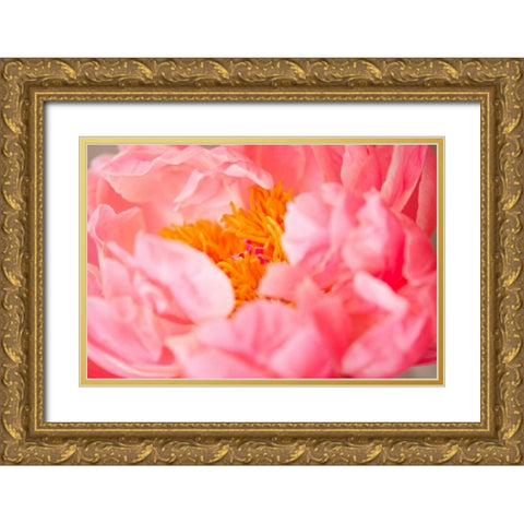 Pink Peony V Gold Ornate Wood Framed Art Print with Double Matting by Millet, Karyn