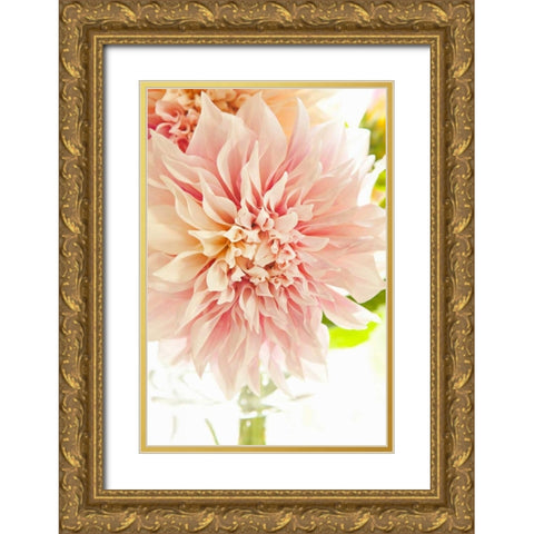 Pink Dahlia I Gold Ornate Wood Framed Art Print with Double Matting by Millet, Karyn