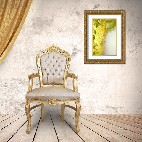 White Flowers II Gold Ornate Wood Framed Art Print with Double Matting by Millet, Karyn