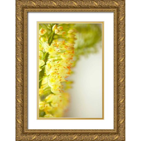White Flowers II Gold Ornate Wood Framed Art Print with Double Matting by Millet, Karyn
