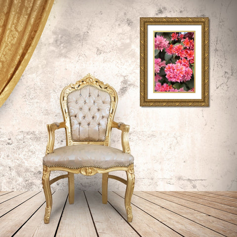 Pink Flowers II Gold Ornate Wood Framed Art Print with Double Matting by Millet, Karyn