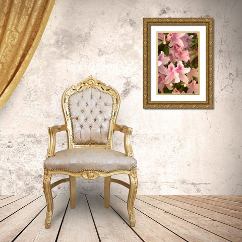 Pink Rhody II Gold Ornate Wood Framed Art Print with Double Matting by Millet, Karyn