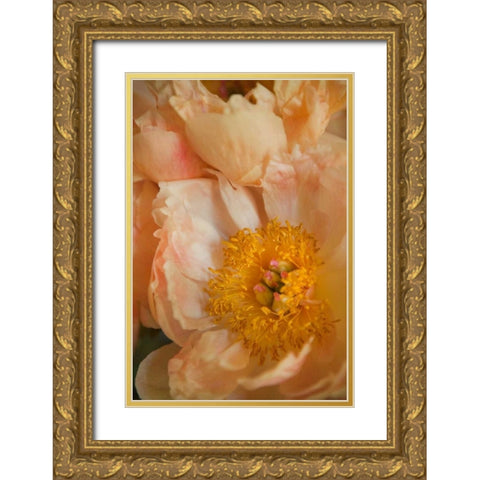 Peach Peonies I Gold Ornate Wood Framed Art Print with Double Matting by Millet, Karyn