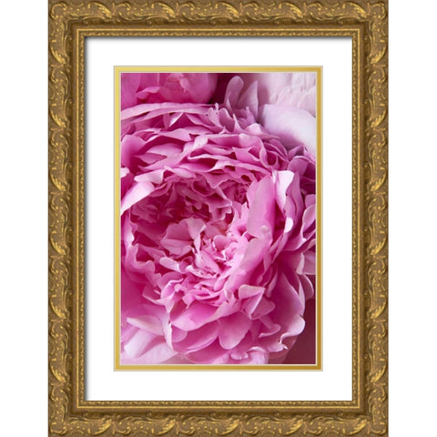 Peony Gold Ornate Wood Framed Art Print with Double Matting by Millet, Karyn