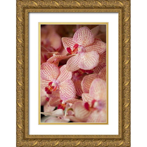 Orchid II Gold Ornate Wood Framed Art Print with Double Matting by Millet, Karyn