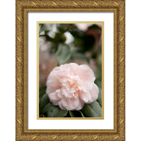 Pink Flowers III Gold Ornate Wood Framed Art Print with Double Matting by Millet, Karyn