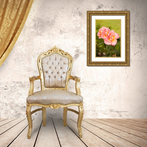 Pink Roses Gold Ornate Wood Framed Art Print with Double Matting by Millet, Karyn