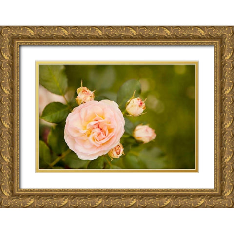 Rose Bush I Gold Ornate Wood Framed Art Print with Double Matting by Millet, Karyn