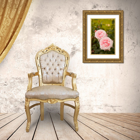 Rose Bush IV Gold Ornate Wood Framed Art Print with Double Matting by Millet, Karyn