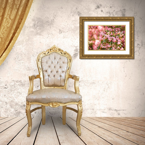 Pink Rhody III Gold Ornate Wood Framed Art Print with Double Matting by Millet, Karyn