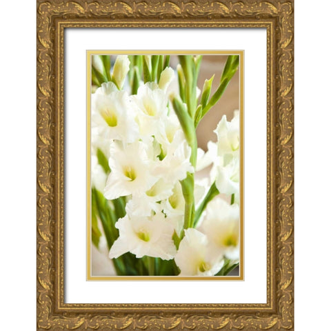 Gladiolus Gold Ornate Wood Framed Art Print with Double Matting by Millet, Karyn