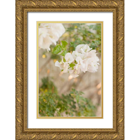 White Flowers III Gold Ornate Wood Framed Art Print with Double Matting by Millet, Karyn
