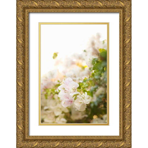White Flowers IV Gold Ornate Wood Framed Art Print with Double Matting by Millet, Karyn