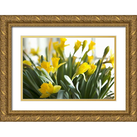 Daffodil Bouquet Gold Ornate Wood Framed Art Print with Double Matting by Millet, Karyn