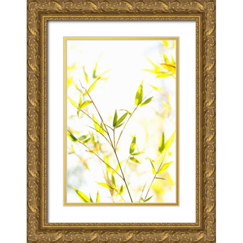 Bamboo I Gold Ornate Wood Framed Art Print with Double Matting by Millet, Karyn