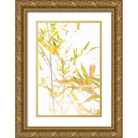 Bamboo I Gold Ornate Wood Framed Art Print with Double Matting by Millet, Karyn