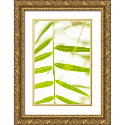 Palm Fonds III Gold Ornate Wood Framed Art Print with Double Matting by Millet, Karyn