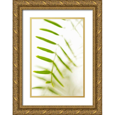 Palm Fonds IV Gold Ornate Wood Framed Art Print with Double Matting by Millet, Karyn