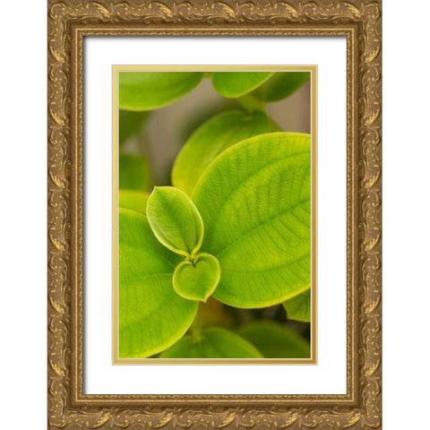 Tropical Leaves I Gold Ornate Wood Framed Art Print with Double Matting by Millet, Karyn