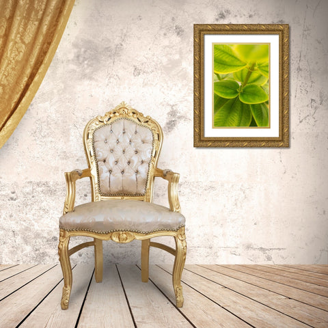 Tropical Leaves II Gold Ornate Wood Framed Art Print with Double Matting by Millet, Karyn