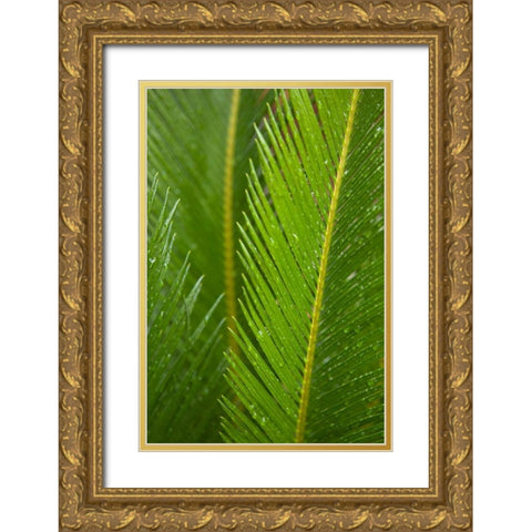 Fern Gold Ornate Wood Framed Art Print with Double Matting by Millet, Karyn
