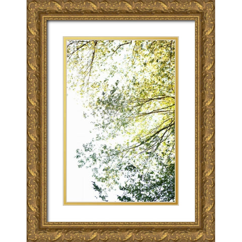 Trees II Gold Ornate Wood Framed Art Print with Double Matting by Millet, Karyn