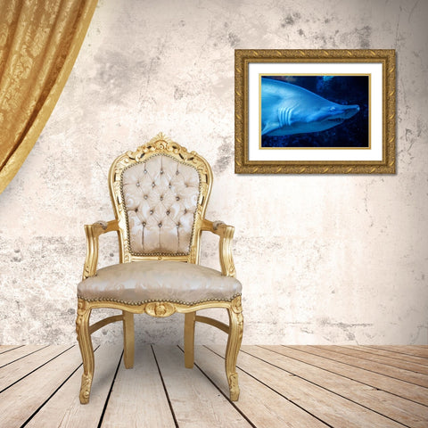 Shark Gold Ornate Wood Framed Art Print with Double Matting by Millet, Karyn