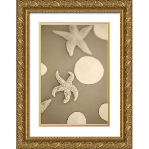 Starfish and Sand Dollars I Gold Ornate Wood Framed Art Print with Double Matting by Millet, Karyn