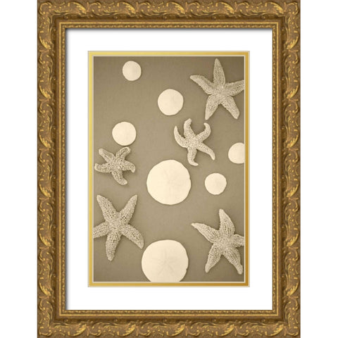 Starfish and Sand Dollars II Gold Ornate Wood Framed Art Print with Double Matting by Millet, Karyn