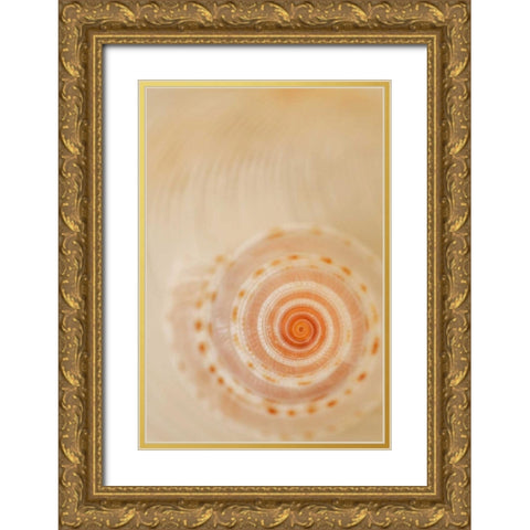 Sea Shells I Gold Ornate Wood Framed Art Print with Double Matting by Millet, Karyn