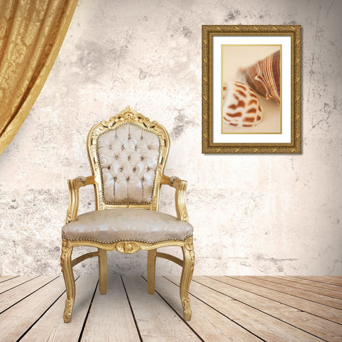Sea Shells II Gold Ornate Wood Framed Art Print with Double Matting by Millet, Karyn