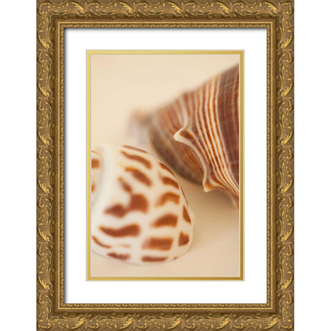 Sea Shells II Gold Ornate Wood Framed Art Print with Double Matting by Millet, Karyn
