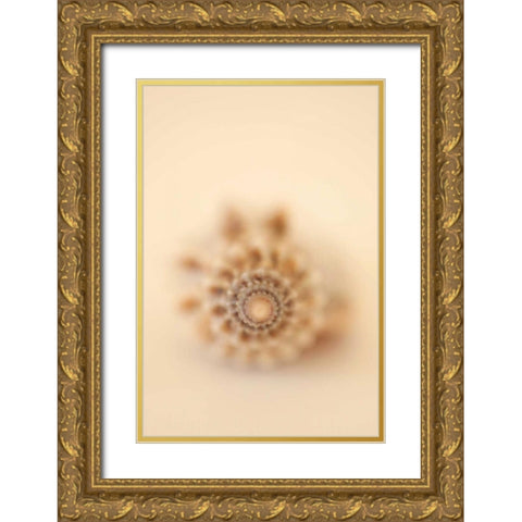 Sea Shells III Gold Ornate Wood Framed Art Print with Double Matting by Millet, Karyn