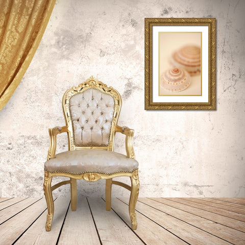 Sea Shells V Gold Ornate Wood Framed Art Print with Double Matting by Millet, Karyn