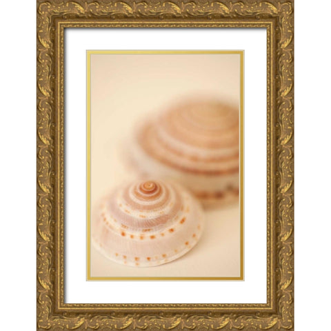 Sea Shells V Gold Ornate Wood Framed Art Print with Double Matting by Millet, Karyn