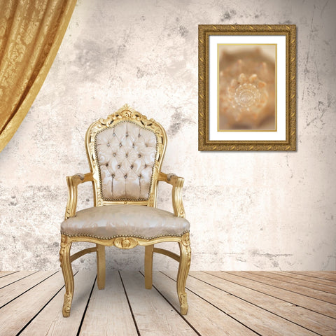 Sea Shell V Gold Ornate Wood Framed Art Print with Double Matting by Millet, Karyn